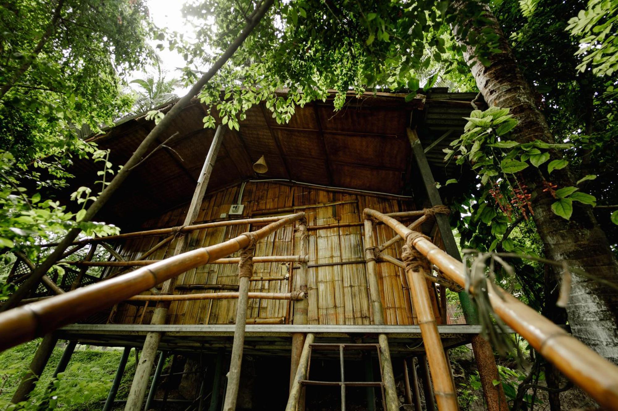 Jungle Paradise Farm & Guest House Masinagudi Exterior foto